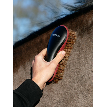 LeMieux Körperbürste Schwarz