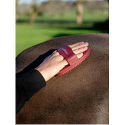 LeMieux Gummistriegel Rot