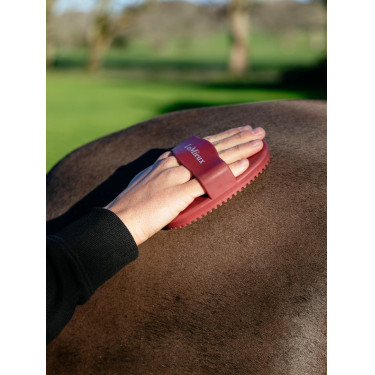 LeMieux Gummistriegel Rot