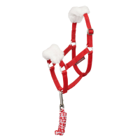 Weihnachtliche Longe und Halfter Hobby Horse LeMieux in Rot Rot Weihnachtliche Longe und Halfter Hobby Horse LeMieux in Rot Rot