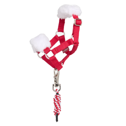 Weihnachtliches LeMieux-Spielpony-Strick und Halfter Rot