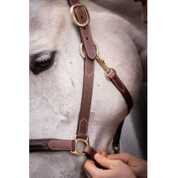 Lederhalfter mit 3 Karabinern Paddock Sports Havanna Braun Lederhalfter mit 3 Karabinern Paddock Sports Havanna Braun