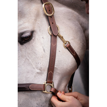 Lederhalfter mit 3 Karabinern Paddock Sports Havanna Braun Lederhalfter mit 3 Karabinern Paddock Sports Havanna Braun