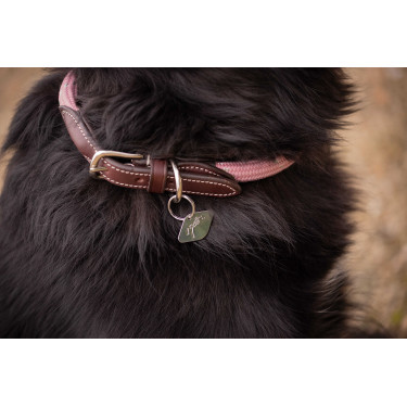 Halsband für Hunde Penelope Billie Rose / Lurex Rosa