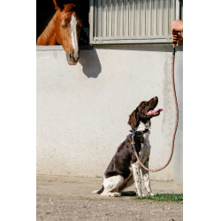 Hundeleine mit Griff EQUITHÈME – Haspen Schwarz / orangener Griff