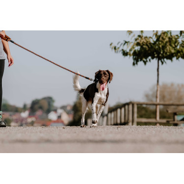 Hundeleine mit Griff EQUITHÈME – Haspen Schwarz / orangener Griff