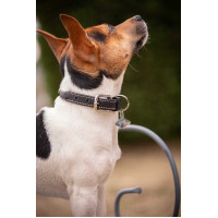 Hundehalsband Pénélope Olie Schwarz