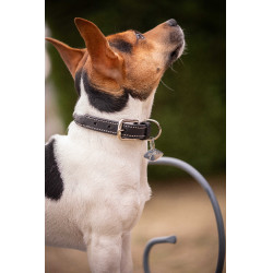 Hundehalsband Pénélope Olie Havanna Braun