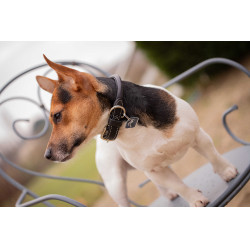 Hundehalsband Pénélope Olie Havanna Braun