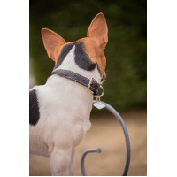 Hundehalsband Pénélope Olie Schwarz