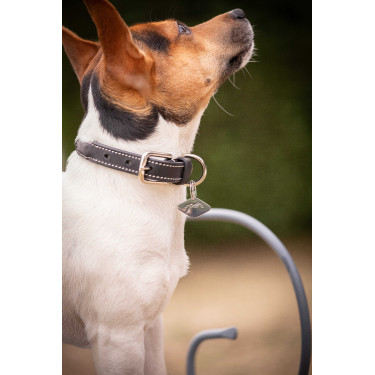 Hundehalsband Pénélope Olie Havanna Braun