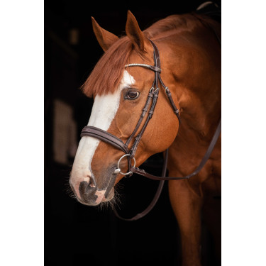 Trense Pénélope Daily Strass SR Havanna Braun Trense Pénélope Daily Strass SR Havanna Braun