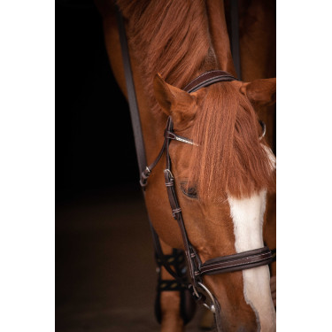 Trense Pénélope Daily Strass SR Havanna Braun Trense Pénélope Daily Strass SR Havanna Braun