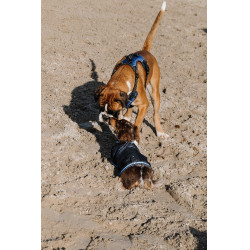 Hundegeschirr RIDING WORLD – Simba Marine Marineblau