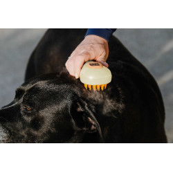 Hippotonic Dampf-Striegel Creme Beige