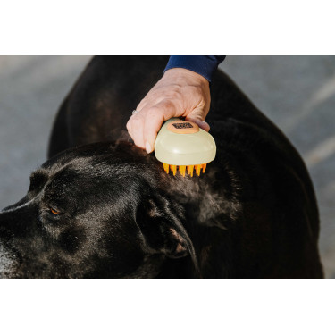 Hippotonic Dampf-Striegel Creme Beige