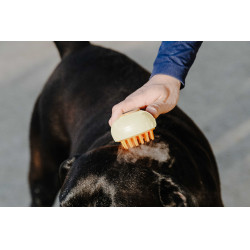 Hippotonic Dampf-Striegel Creme Beige