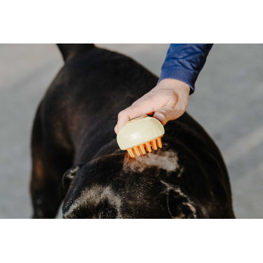 Hippotonic Dampf-Striegel Creme Beige