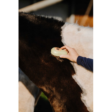 Hippotonic Dampf-Striegel Creme Beige