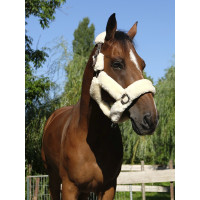 Licol Equi-Theme Teddy Choco / écru