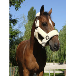 Halfter Equithème Teddy Halfter Equithème Teddy