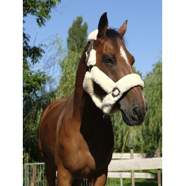 Halfter Equithème Teddy Halfter Equithème Teddy