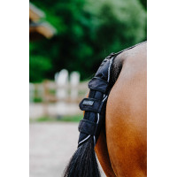 Schweifschoner Equithème Tyrex 600D Schwarz