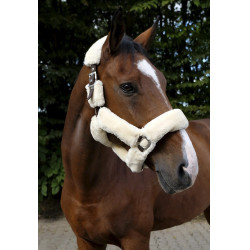 Halfter Equithème Teddy Halfter Equithème Teddy