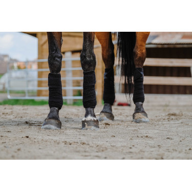 Equithème Polo-Bandagen im 4er-Set Schwarz