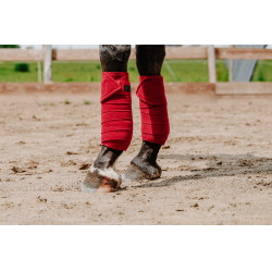 Equithème Polo-Bandagen im 4er-Set Rot