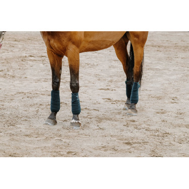 Equithème Polo-Bandagen im 4er-Set Dunkelgrün Gr&uuml;n