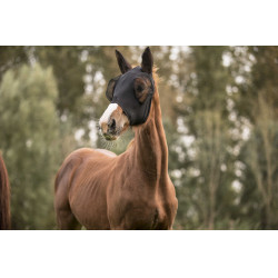 Fliegenmaske Lami-Cell Lycra Schwarz