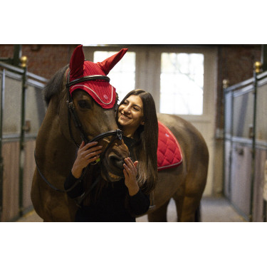 Vliegennetje Lami-Cell Luxin Rot Vliegennetje Lami-Cell Luxin Rot