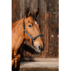 Nylonhalfter Equithème Domino Königsblau