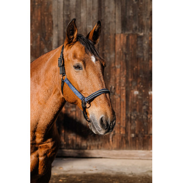 Nylonhalfter Equithème Domino Königsblau