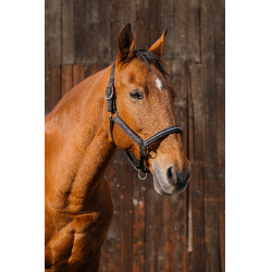 Nylonhalfter Equithème Domino Violett Lila Nylonhalfter Equithème Domino Violett Lila