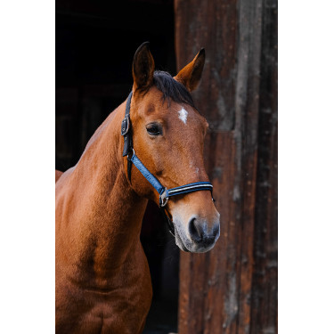 Nylonhalfter Equithème Domino Blau