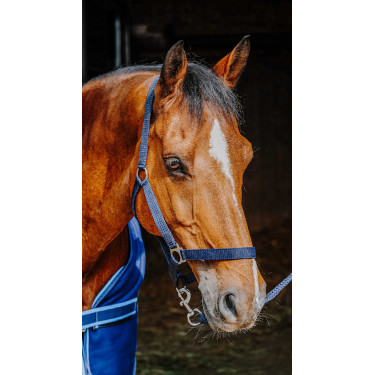 Komplettset Riding World Marineblau