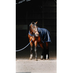 Walker-Decke Equithème Classic 1200D Marineblau