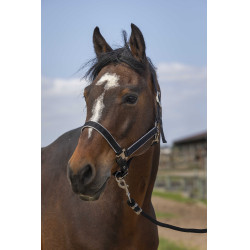 Halfter Equithème Nylon Light Schwarz