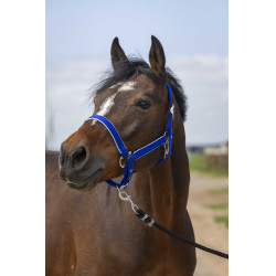 Halfter Equithème Nylon Light Königsblau