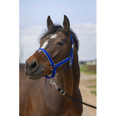 Halfter Equithème Nylon Light Königsblau