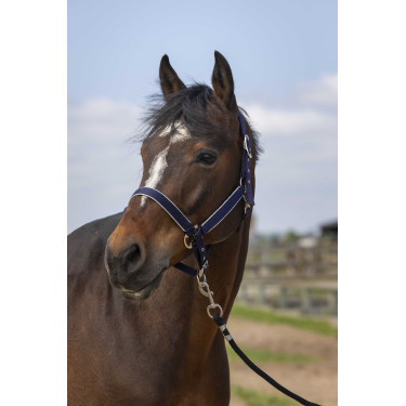 Halfter Equithème Nylon Light Marineblau
