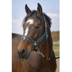 Halfter Equithème Nylon Light Dunkelgrün Gr&uuml;n
