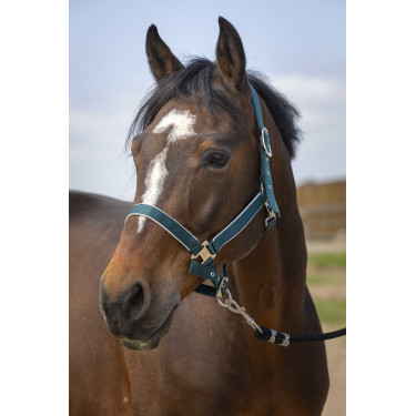 Halfter Equithème Nylon Light Dunkelgrün Gr&uuml;n