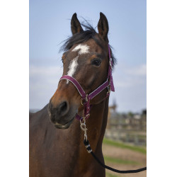 Halfter Equithème Nylon Light Bordeaux Halfter Equithème Nylon Light Bordeaux