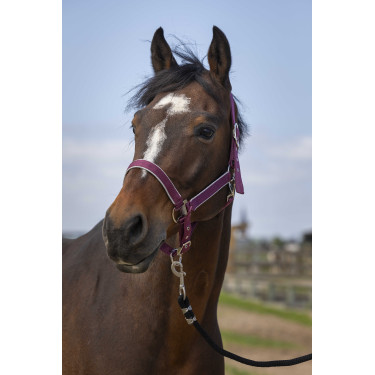 Halfter Equithème Nylon Light Bordeaux Halfter Equithème Nylon Light Bordeaux