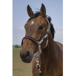 Halfter Equithème Nylon Chevron Hellgrau