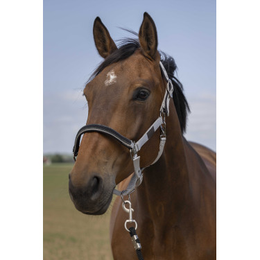 Halfter Equithème Nylon Chevron Hellgrau