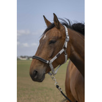 Halfter Equithème Nylon Chevron Schwarz
